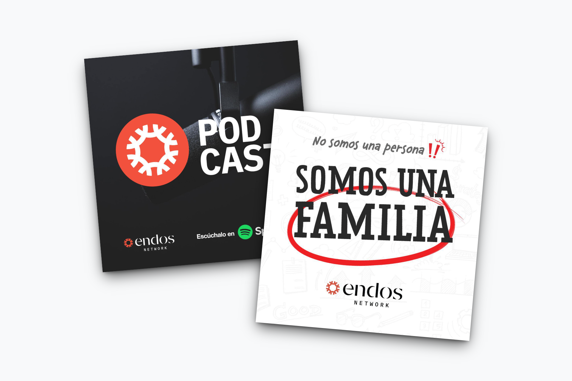 Ejemplo de feed y piezas sociales